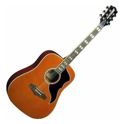 Eko guitars Ranger VI VR EQ Natural electro-acoustic guitar