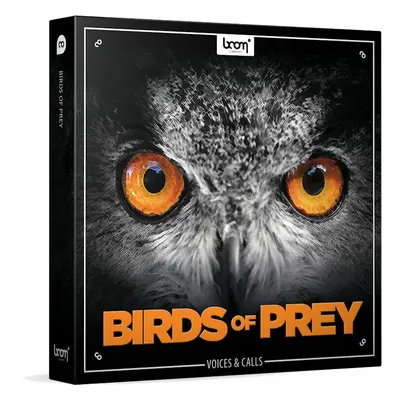 BOOM Library Birds of Prey (Digital product)