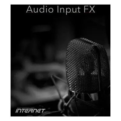 Internet Co. Audio Input FX (Digital product)