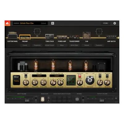 Positive Grid BIAS Amp (Digital product)