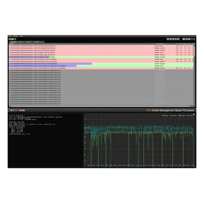 Nugen Audio AMB Loudness Module (Digital product)