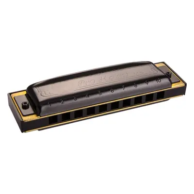 Hohner Pro Harp MS G Diatonic harmonica