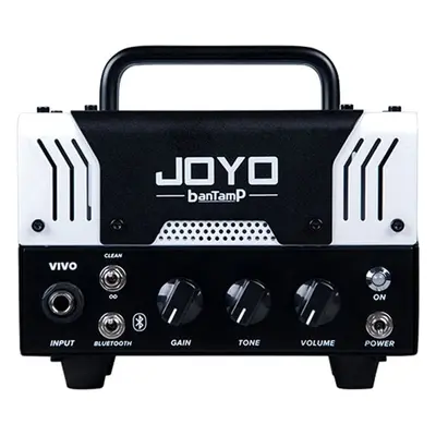 Joyo ViVO Hybrid Amplifier