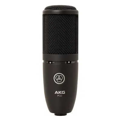 AKG P120+ Studio Condenser Microphone