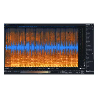 iZotope RX Standard EDU (Digital product)