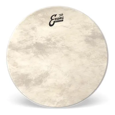 Evans BD22GB4CT EQ4 Calftone 22" Drum Head