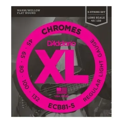 D'Addario ECB81-5 Bass strings