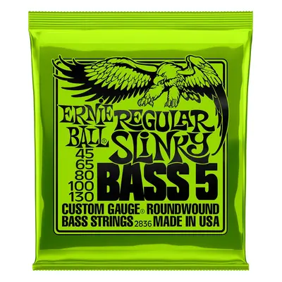 Ernie Ball Regular Slinky Bassguitar strings