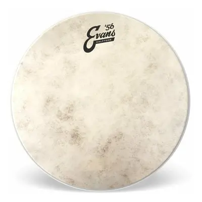 Evans TT18C7 Calftone 18" Drum Head