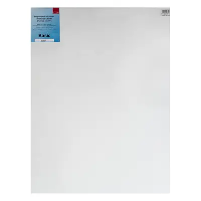 AMI Painting Canvas White pc