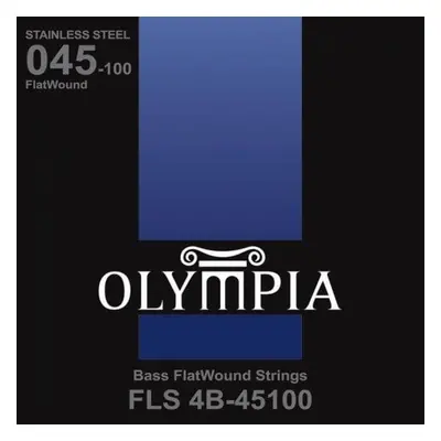 Olympia FLS4B-45100 Bass strings