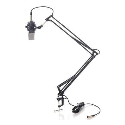 Bespeco MSRA10 Desk Microphone Stand