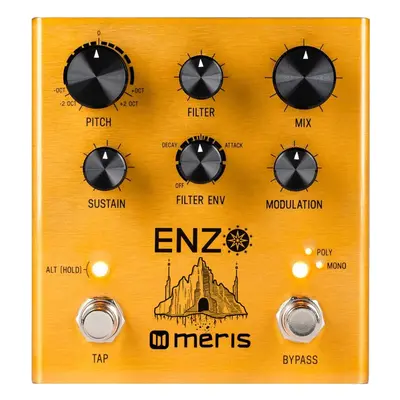 Meris Enzo Guitar Effects Pedal