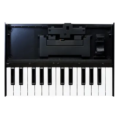 Roland K-25M Expansion Device for Keyboards