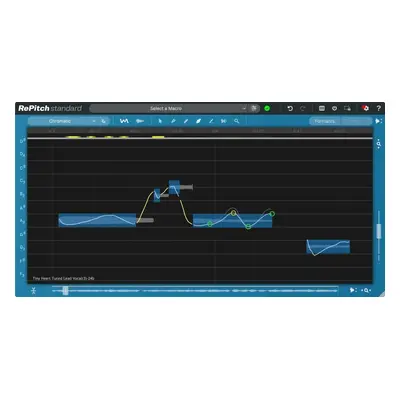 Synchro Arts RePitch Standard Crossgrade (Digital product)