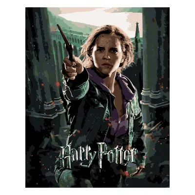 Zuty Painting by Numbers Harry Potter And The Relic Of Death Poster – Hermione