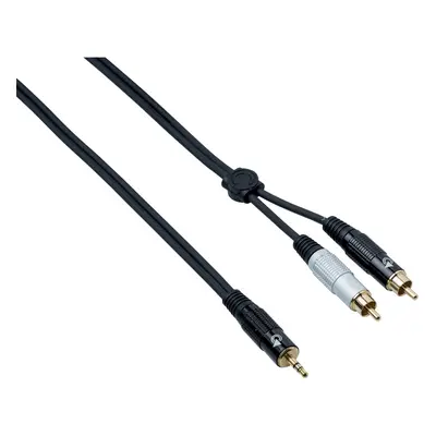 Bespeco EAYMSR300 m Audio Cable