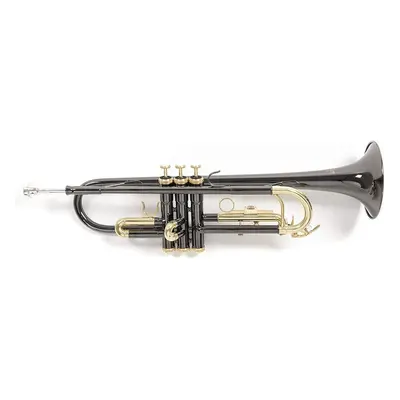 Roy Benson TR-101K Bb Trumpet