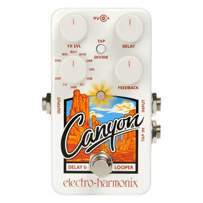 Electro Harmonix Canyon Guitar Effect