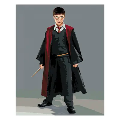 Zuty Painting by Numbers Harry Potter In A Robe With A Wand