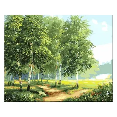 Zuty Painting by Numbers Birches By The Road II