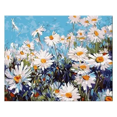 Zuty Painting by Numbers Daisies