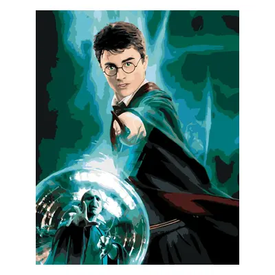 Zuty Painting by Numbers Harry Potter And The Order Of The Phoenix Poster – Harry