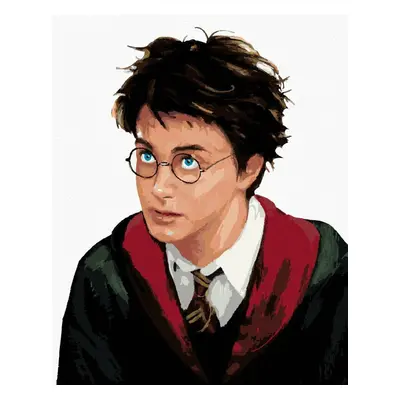 Zuty Painting by Numbers Harry Potter Portrait