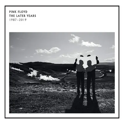 Pink Floyd - The Later Years (2 LP)