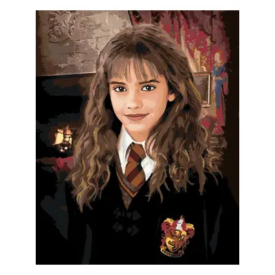 Zuty Painting by Numbers Hermione Portrait (Harry Potter)