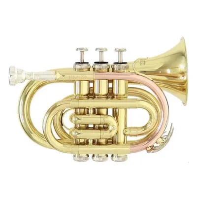 Roy Benson PT-101 Bb Trumpet