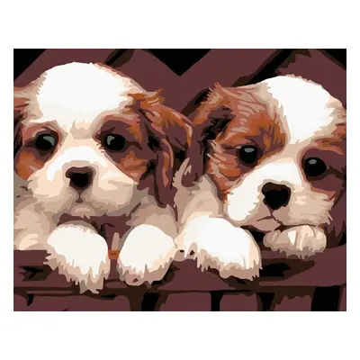 Zuty Diamond Art White and Brown Puppies