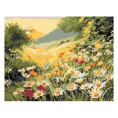 Zuty Painting by Numbers Summer Meadow