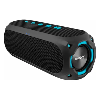 Niceboy RAZE Radion Portable Speaker Black