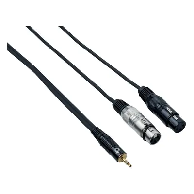 Bespeco EAYMS2FX500 m Audio Cable