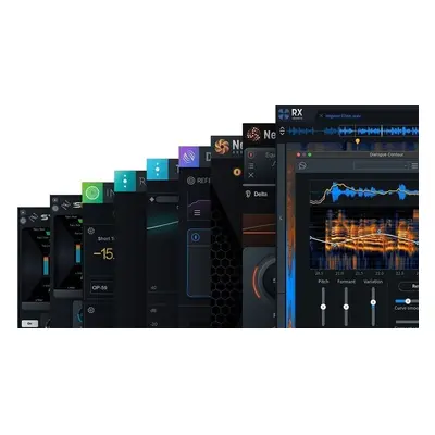 iZotope RX Post Production Suite 8.5 (Digital product)