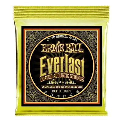 Ernie Ball Everlast Guitar strings