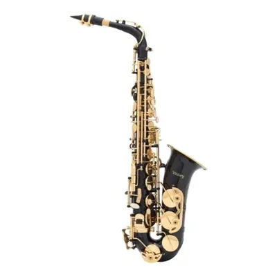 Victory VAS Student B Alto saxophone