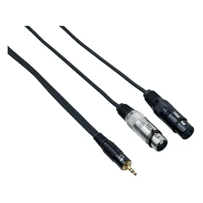 Bespeco EAYMS2FX300 m Audio Cable