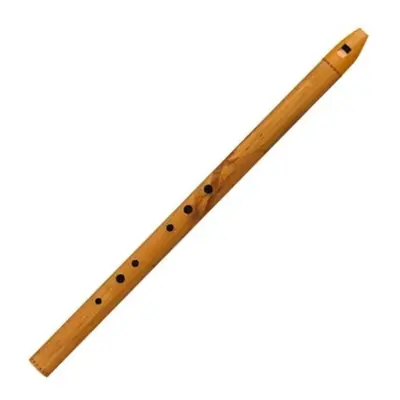 Terre Irish D Ethnic whistle