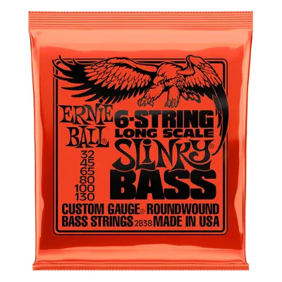 Ernie Ball Slinky Bassguitar strings