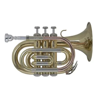 Bach PT650 Bb Bb Trumpet