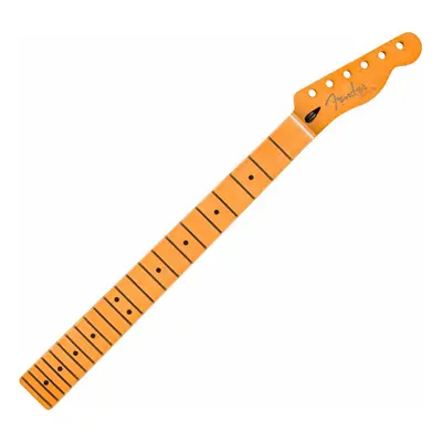 Fender Player Plus Guitar Neck