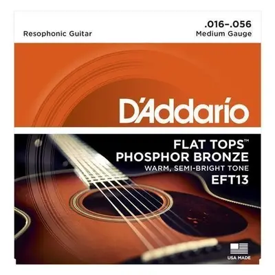 D'Addario EFT13 Electric guitar strings