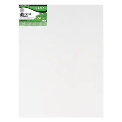 Daler Rowney Painting Canvas Simply White pc