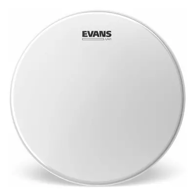 Evans B14UV1 UV1 Coated 14" Drum Head