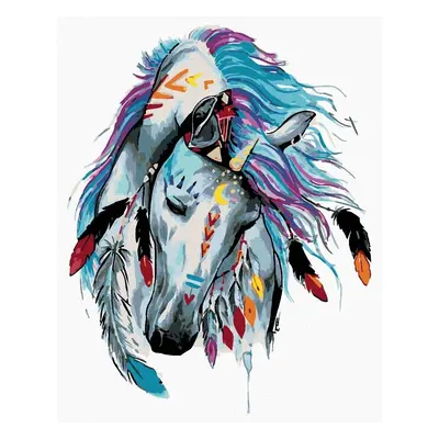 Zuty Diamond Art Indian Horse