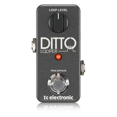 TC Electronic Ditto Looper Guitar Effect