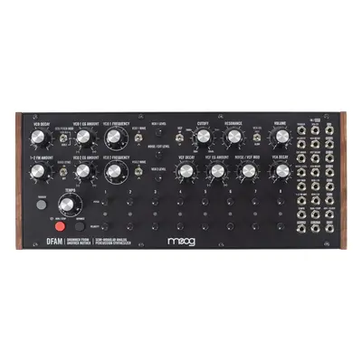 MOOG DFAM Synthesizer