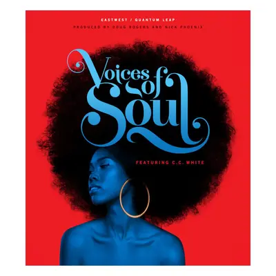 EastWest Sounds VOICES OF SOUL (Digital product)